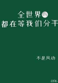 全世界都在等我们分手讲的是什么故事