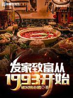 发家致富从1993开始视频播放