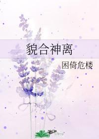 貌合神离困倚危楼TXT百度