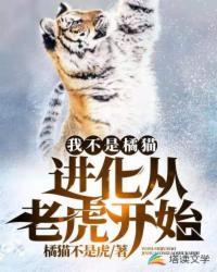 我不是橘猫!进化从老虎开始TXT