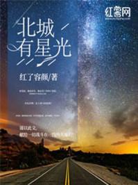 北城有星光无删减完整版