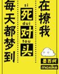 每天都梦到死对头在撩我大概内容