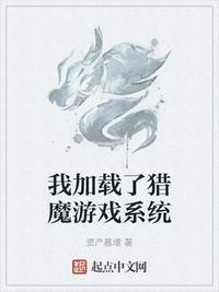 我加载了猎魔游戏系统 资产暴增