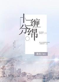 十二分缠绵免费阅读无弹窗晋江