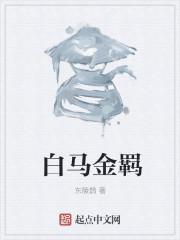 白马金羁辽海东打三数字