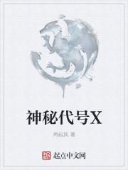 除了x还有什么神秘代号