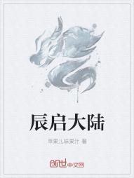 辰启集团有限公司