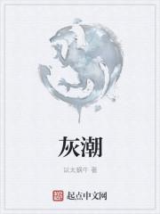 灰潮无音讲的什么