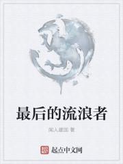 流浪者最后的结局