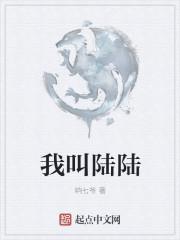 为什么叫宁陆陆