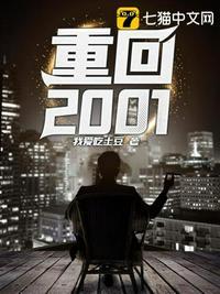 重回2001夜色迷人全文