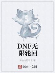 dnf轮回套