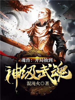 斗罗无限抽奖系统魂兽开局抽到神级武魂全本