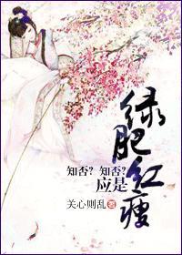 知否知否应是绿肥红瘦全文epub