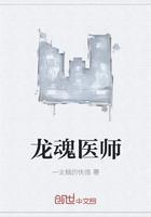 龙魂医师人物介绍