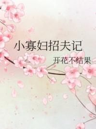 小寡妇招夫记无防盗章