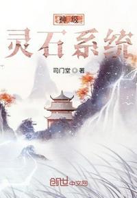 神级灵宠系统