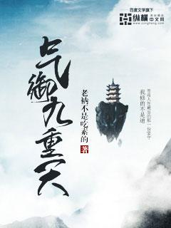 掌御九重天