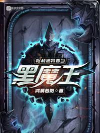 假如哈利波特是第三代黑魔王