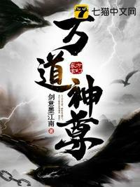 万道神尊 无为秀才