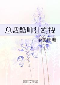 总裁酷帅狂霸拽笔趣阁