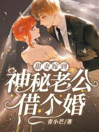 神秘老公借个婚免费阅读全文