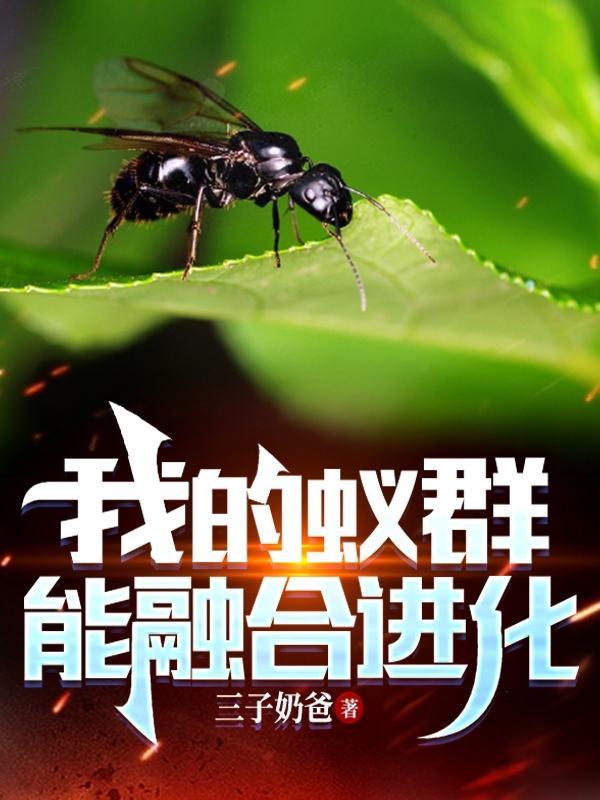 蚁群游戏攻略