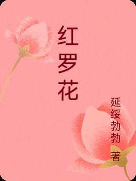 红罗花帐