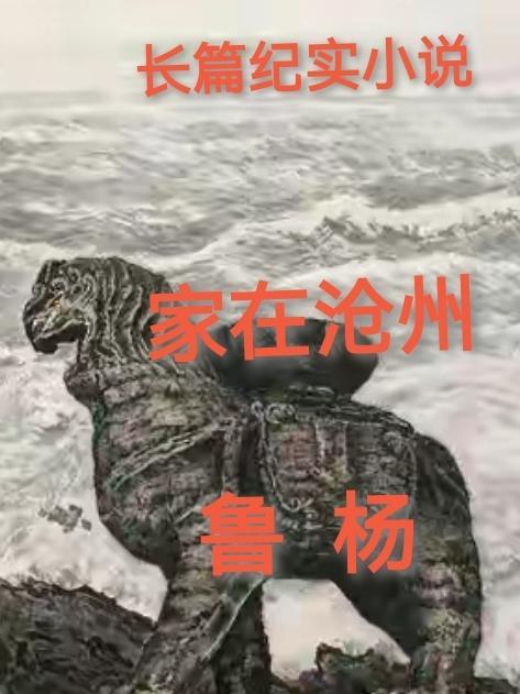 沧州水管家