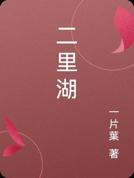 二里湖祖师良方医用冷敷贴