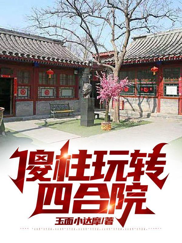 四合院极品傻柱