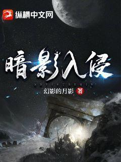 群星联合舰队暗影入侵