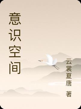 雷电将军意识空间