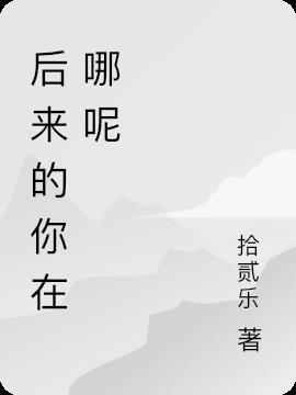 后来的你什么歌