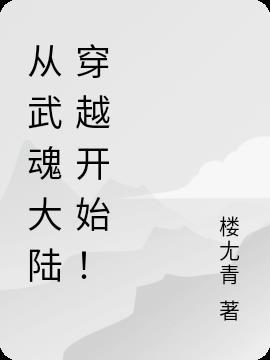 穿越从武魂殿