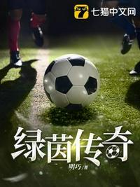 绿茵传奇2022十八汉化