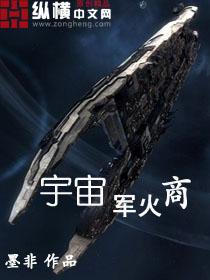 宇宙军火商墨菲txt