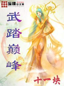 武踏苍穹顶点