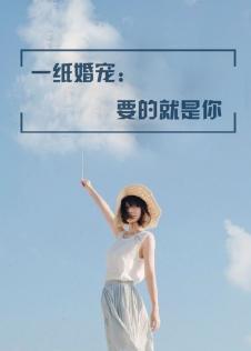 一纸宠婚阅读全文