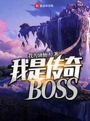 我是传奇bossTXT精校