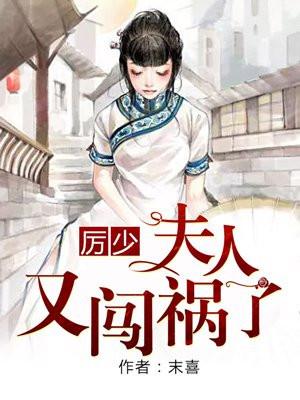 夫人又闯祸了漫画