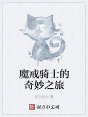 路过的魔戒骑士