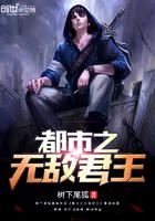 无敌君主系统