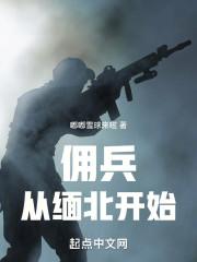 我在缅北当佣兵有声