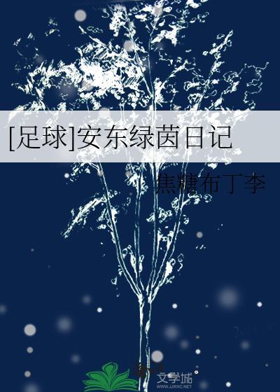 足球安东绿茵日记百度