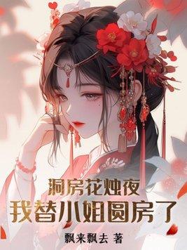 洞房花烛夜我替小姐圆房了全文