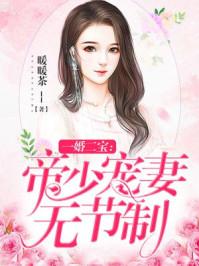 一婚二宝帝少宠妻无节制权少宠妻成瘾