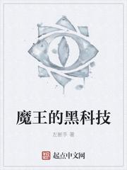 魔王科技框架10