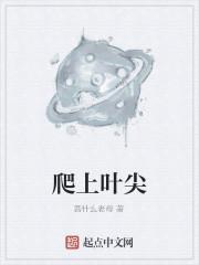 叶片顶端会突出一根细长的尖尾巴植物学家称它为什么