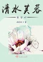 清水芙蓉是什么茶